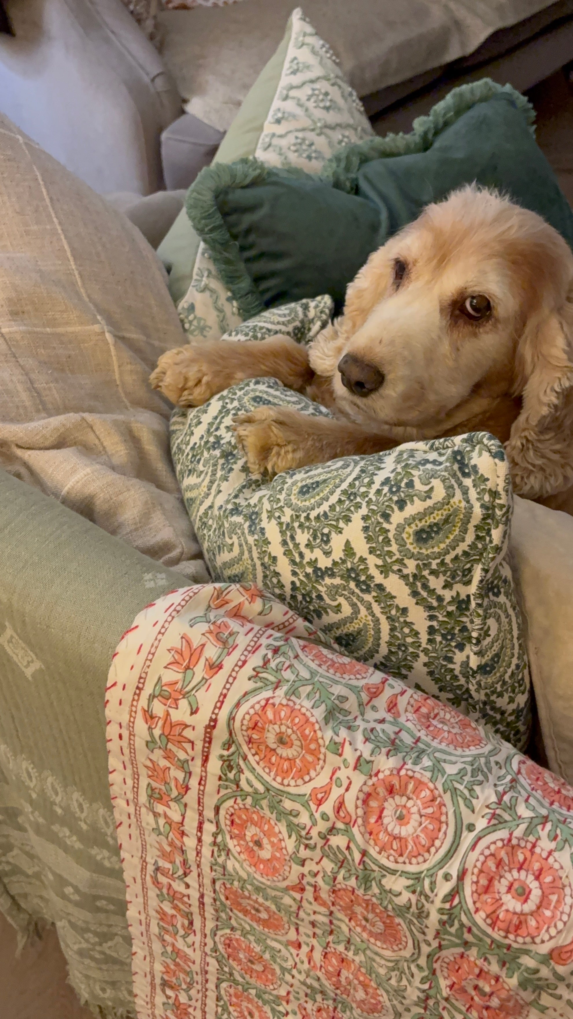 Handcrafted Kantha Throw — Pink Mix
